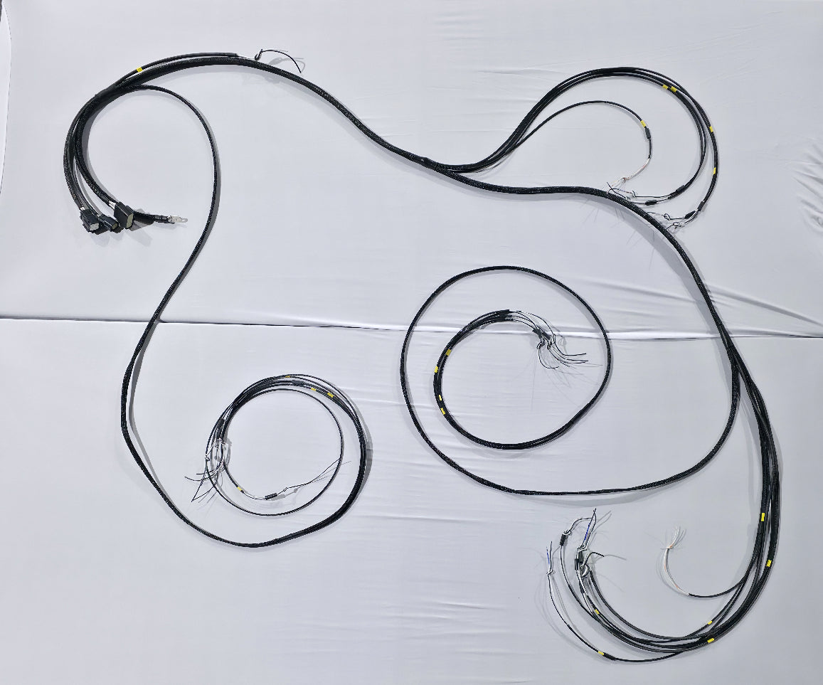 12 Panel Drop In Wiring Harness for Switch Pros (2 seat)